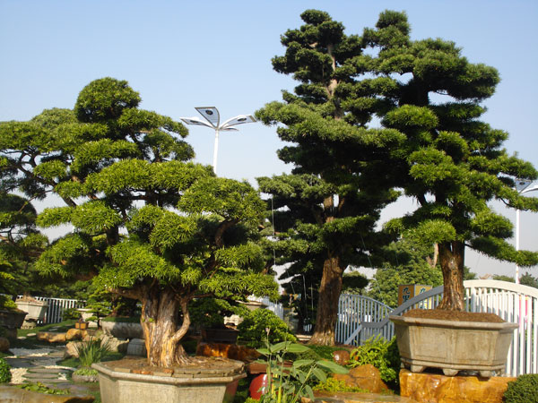 ​别墅入户花园设计：场景化打造温馨归家体验